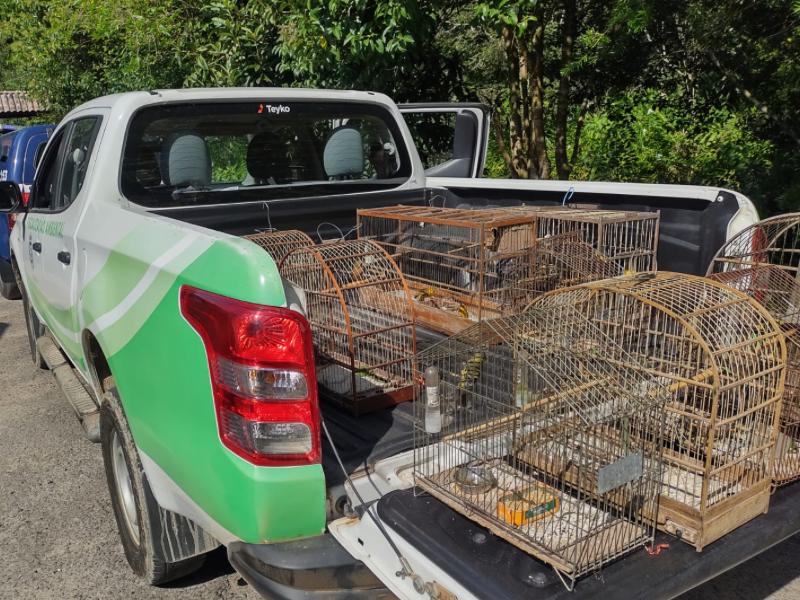 GMCL e Secretaria do Meio Ambiente realizaram apreensões de aves silvestres e gaiolas no Aparecida e Itambé 