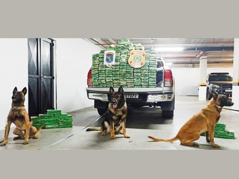 Polícia Federal e equipe K9 do BPCHOQUE realizam apreensão de mais de R$ 6 milhões em cocaína