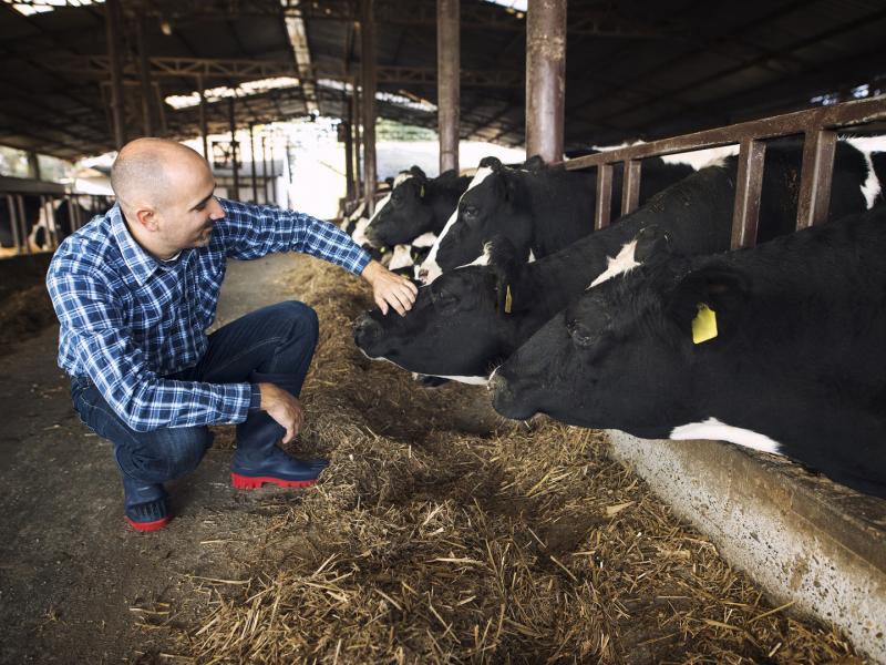 Campo largo adere ao Programa Federal Pecuária Mais Brasil que trará melhoramento genético para produtores locais