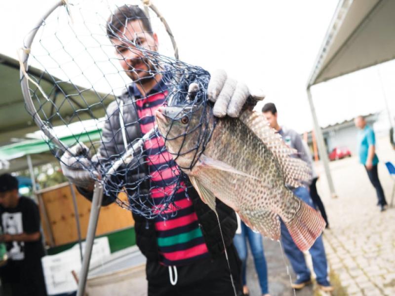 Tradicional Feira do Peixe Vivo será  realizada nos dias 04 e 05 de abril 