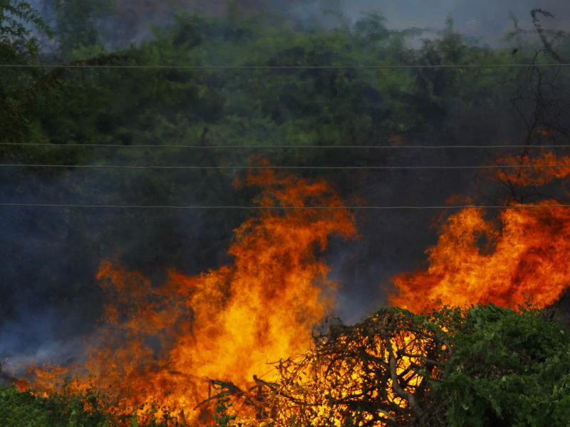 Corpo de Bombeiros atende várias chamadas de incêndio em vegetação em Campo Largo 