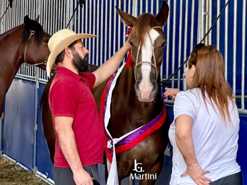 Núcleo Paraná participa da Festa do Agricultor e desperta interesse pelos cavalos crioulos