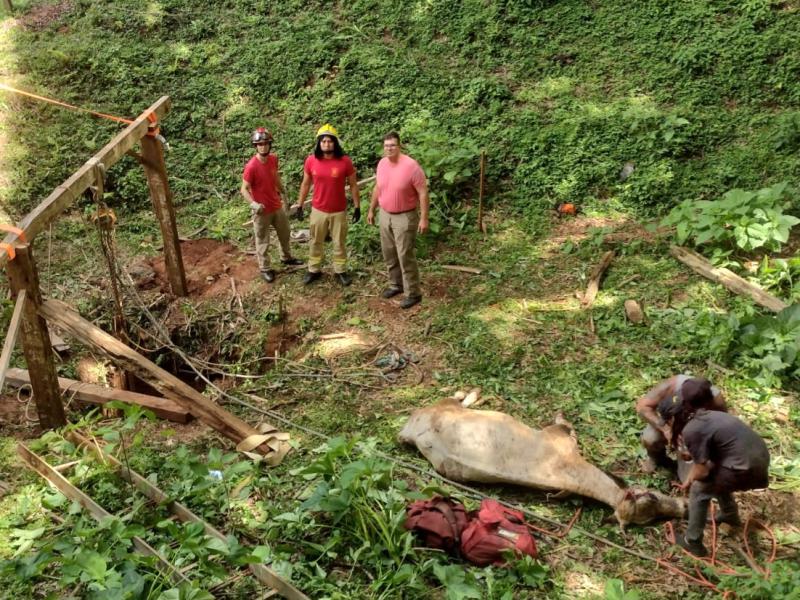 Corpo de Bombeiros realiza resgate de animal em uma propriedade rural