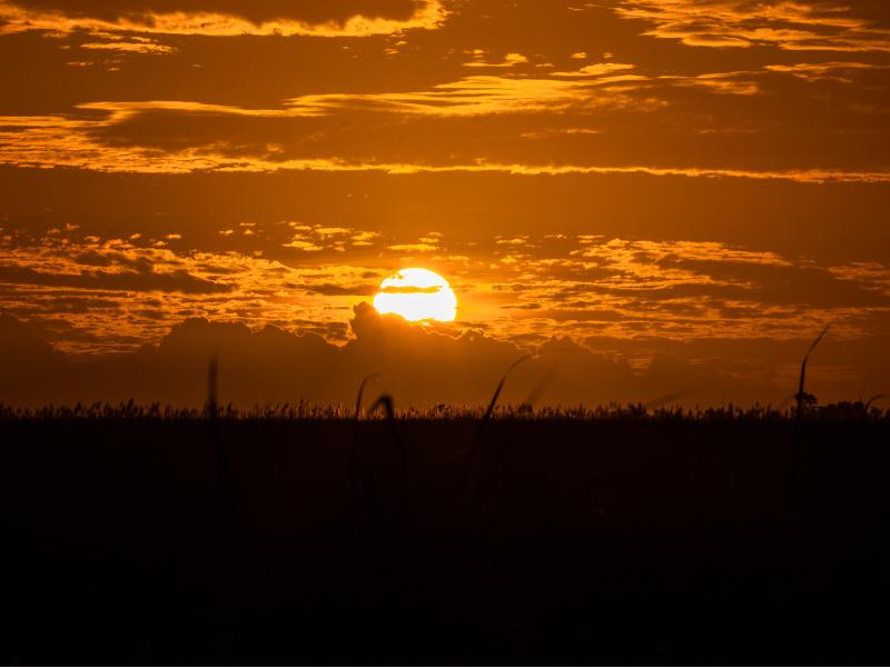 Campo Largo sob alerta laranja de onda de calor até esta quarta-feira (25)