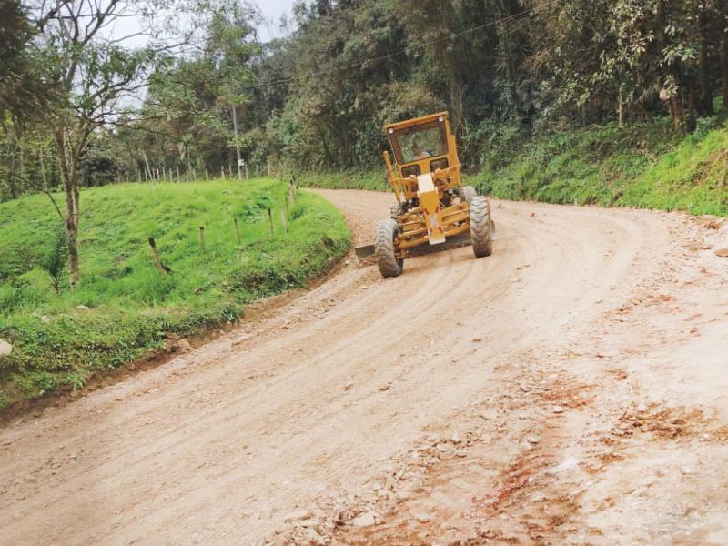 Governo do Paraná anuncia certificação da Estrada do Cerne como rota turística do Estado