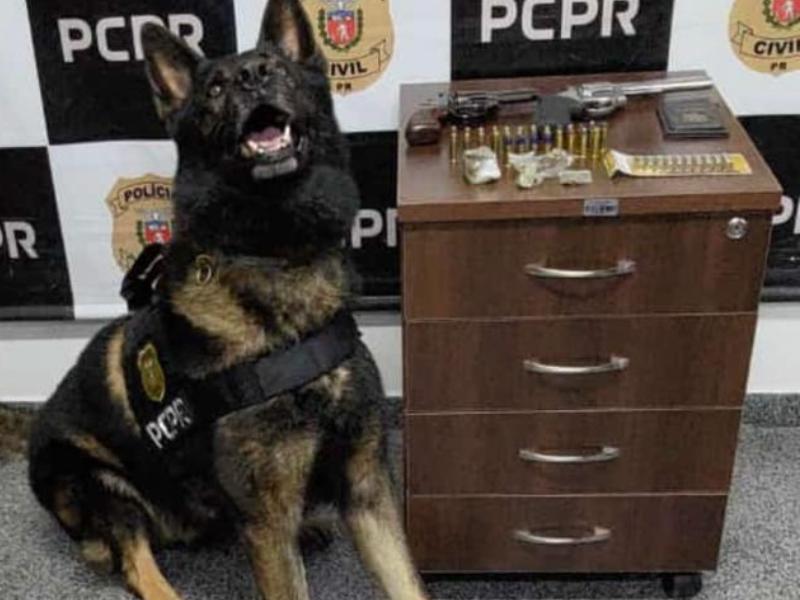 Polícia Civil prende homem em flagrante por posse ilegal de armas de fogo e maus-tratos a animal 