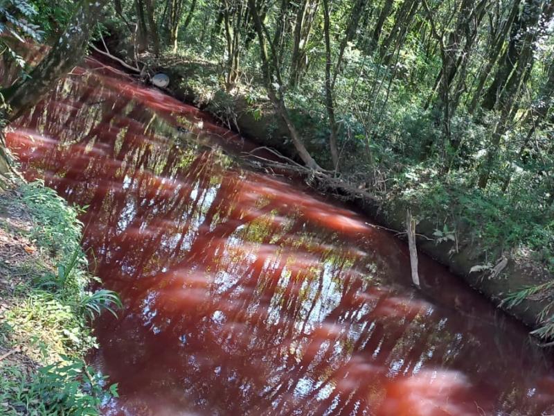 Água de coloração avermelhada no Rio Passaúna chama a atenção e autoridades investigam possível crime ambiental