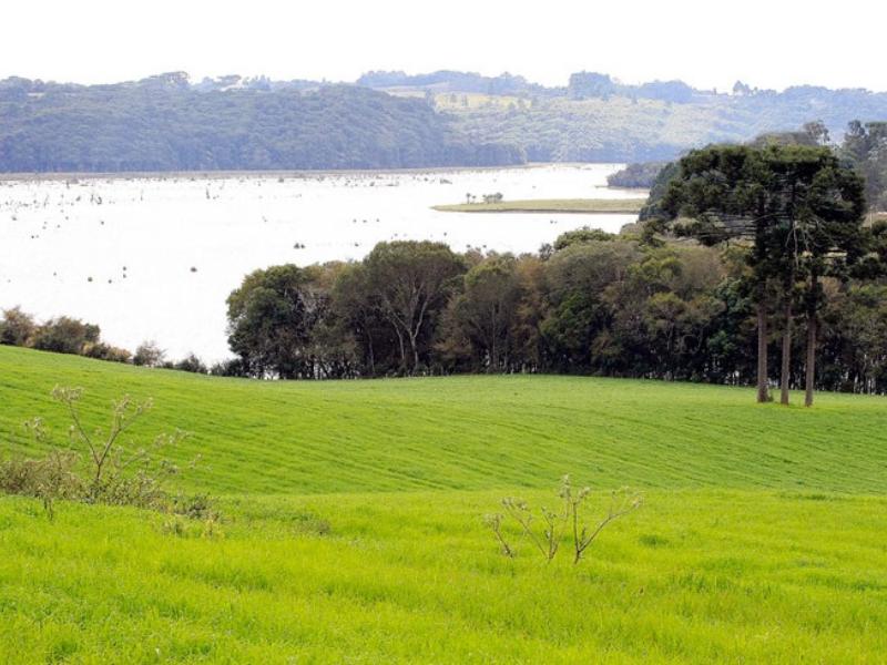 Prefeitura anuncia Audiência Pública sobre Plano de Manejo da APA do Rio Verde, em 20 de agosto