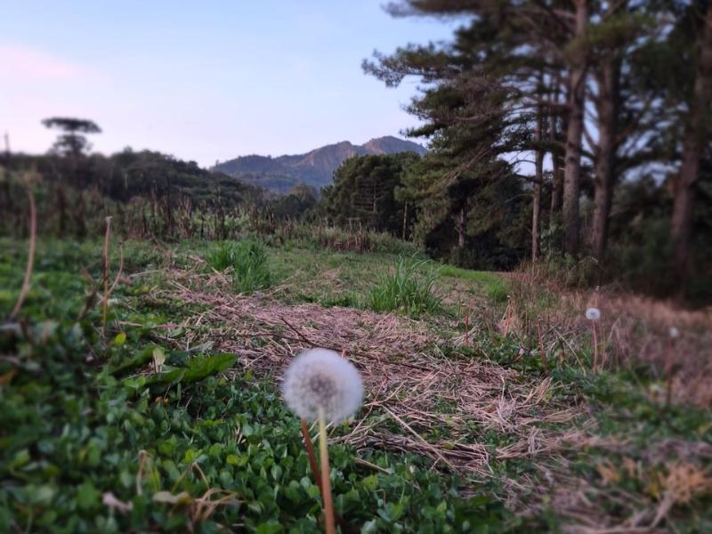 1ª Caminhada na Natureza Circuito Caminhos do Ouro será realizada  em Bateias no dia 28 de setembro
