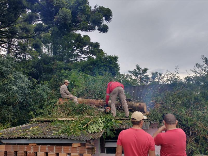 Corpo de Bombeiros realiza retirada de árvore que caiu em residência no Jardim Acácias