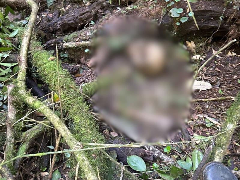 Ossada humana é encontrada em Três Córregos, interior do município de Campo Largo