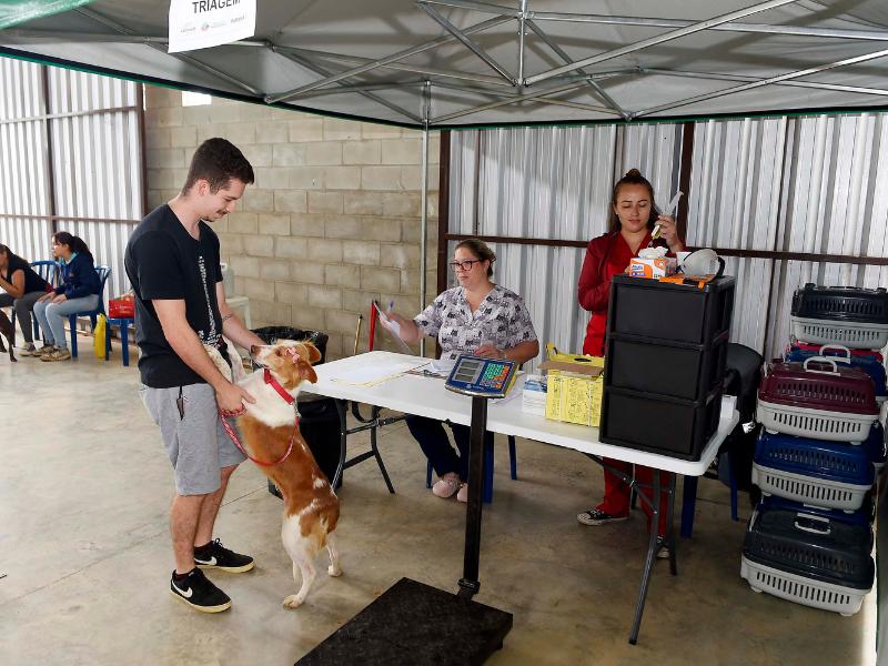 CastraPet leva saúde e bem-estar a cães e gatos em Campo Largo