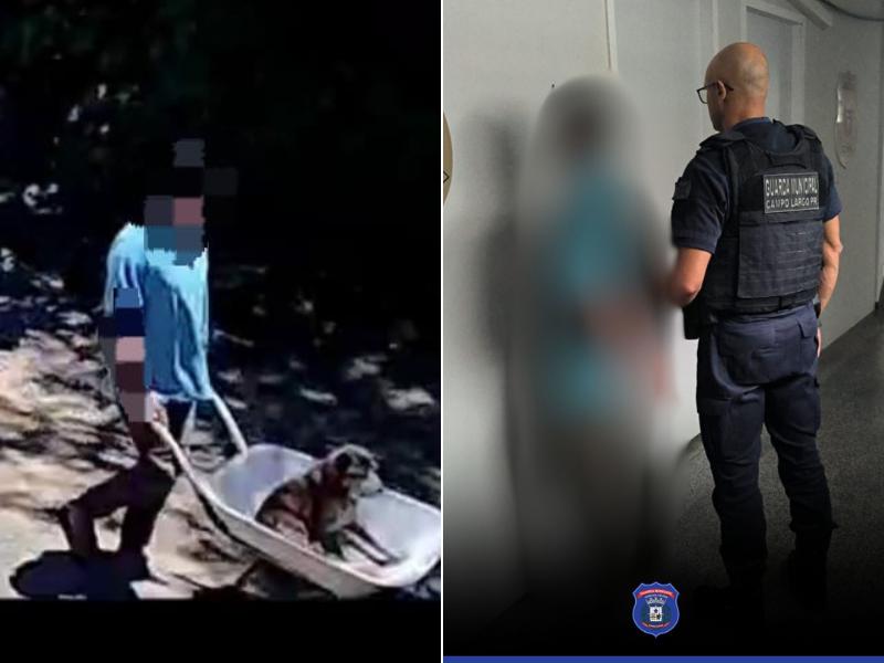 Cachorro é abandonado vivo após homem receber dinheiro para enterrá-lo em área de mata