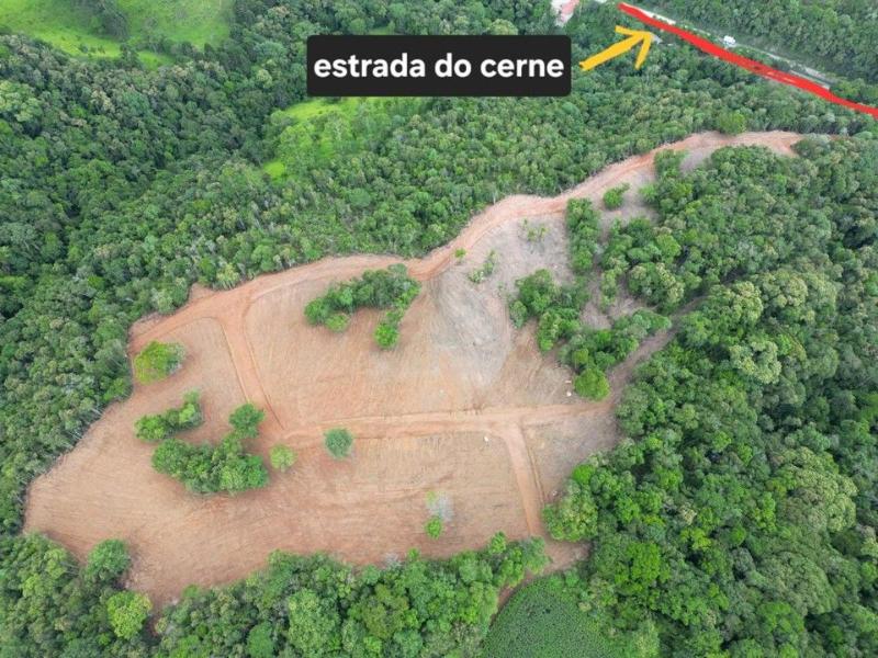 Denúncia de intervenção e possível desmatamento em área rural de Bateias resulta em embargo ambiental
