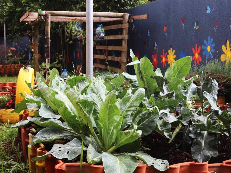 Projeto “Raízes do Saber” levará hortas e pomares pedagógicos às escolas de Campo Largo