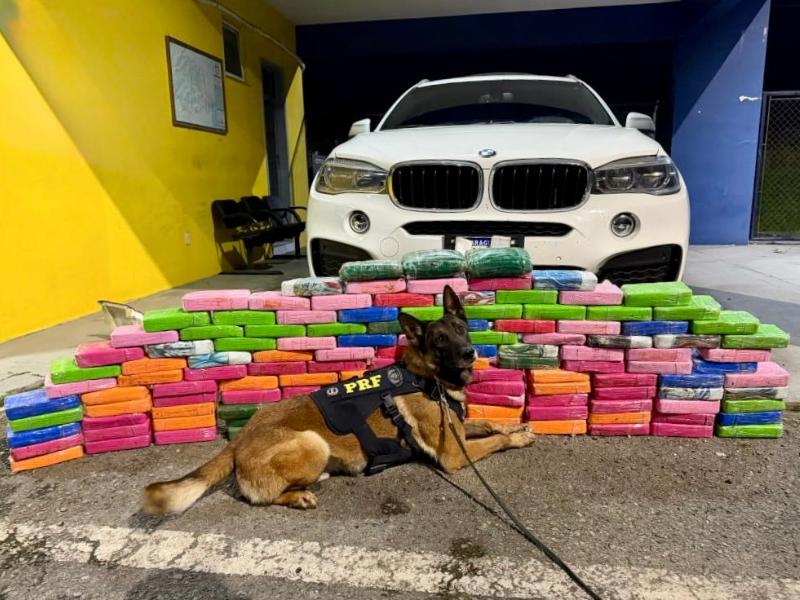 PRF apreende 136 kg de cocaína em BMW na BR-277 em Balsa Nova