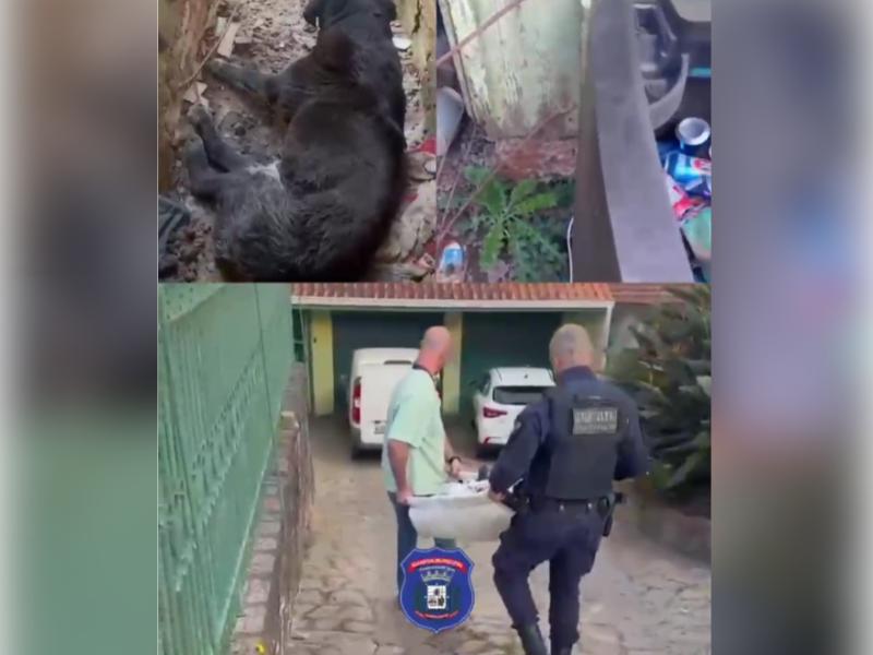 Guarda Municipal resgata cão sem água e em estado grave no bairro Itaqui